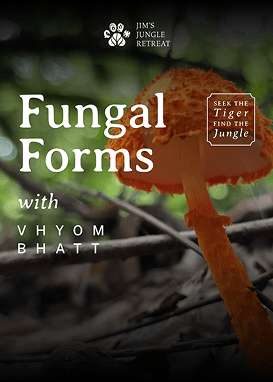 Fungal Forms