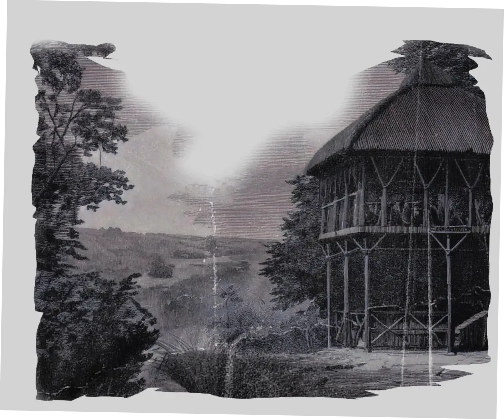 Shelter