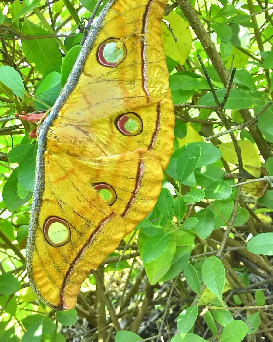 resort in Jim Corbett