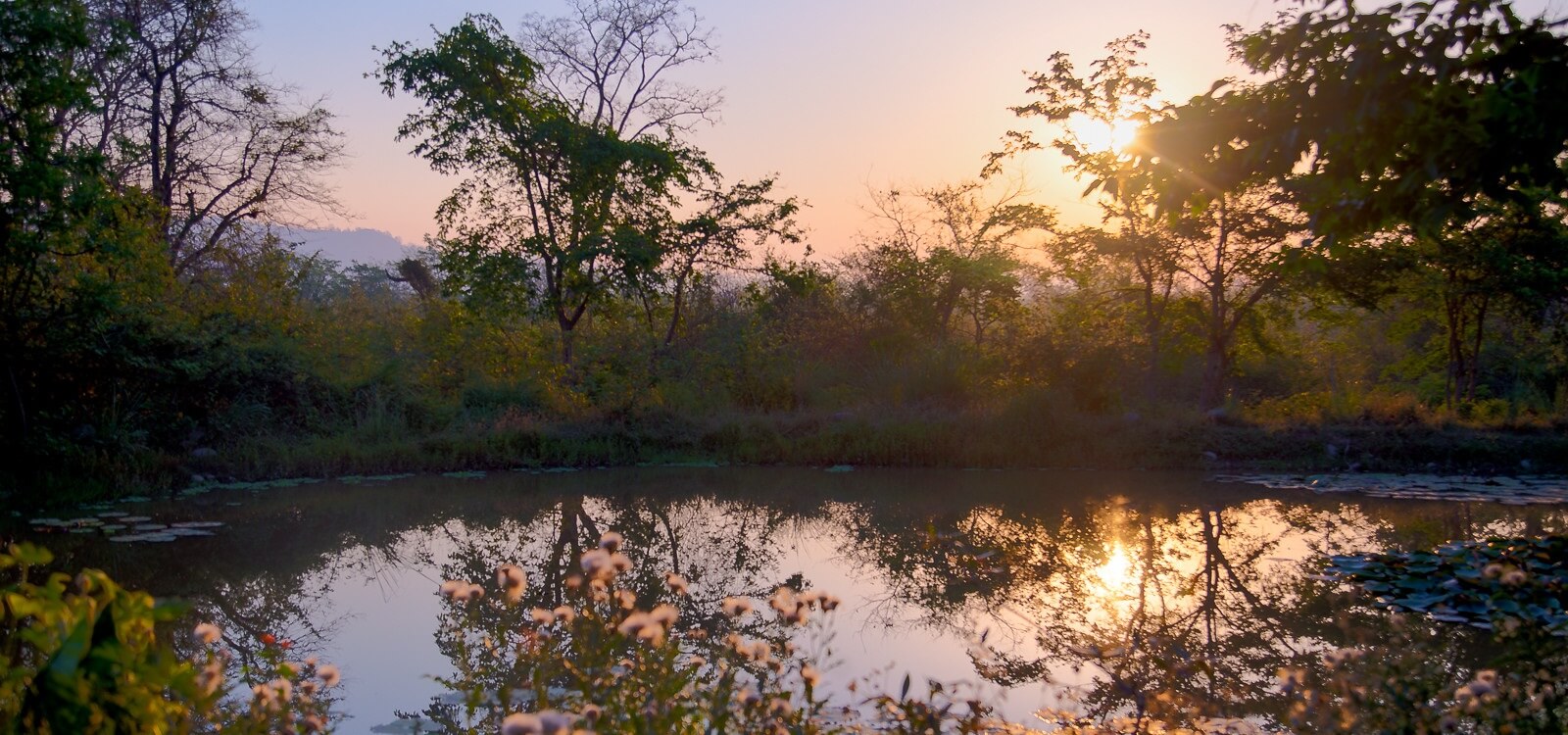 Water Bodies