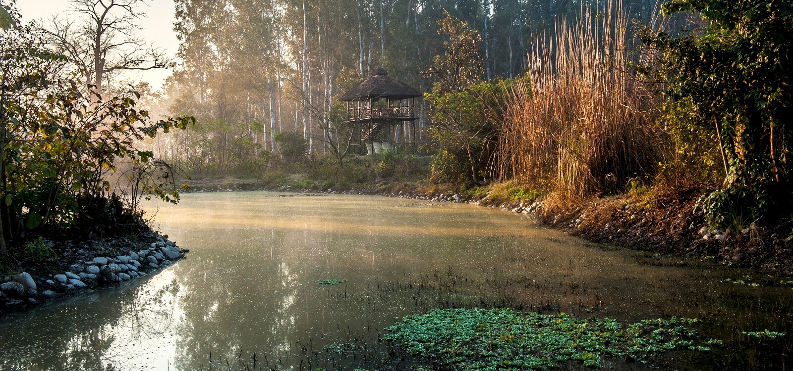 Water Bodies