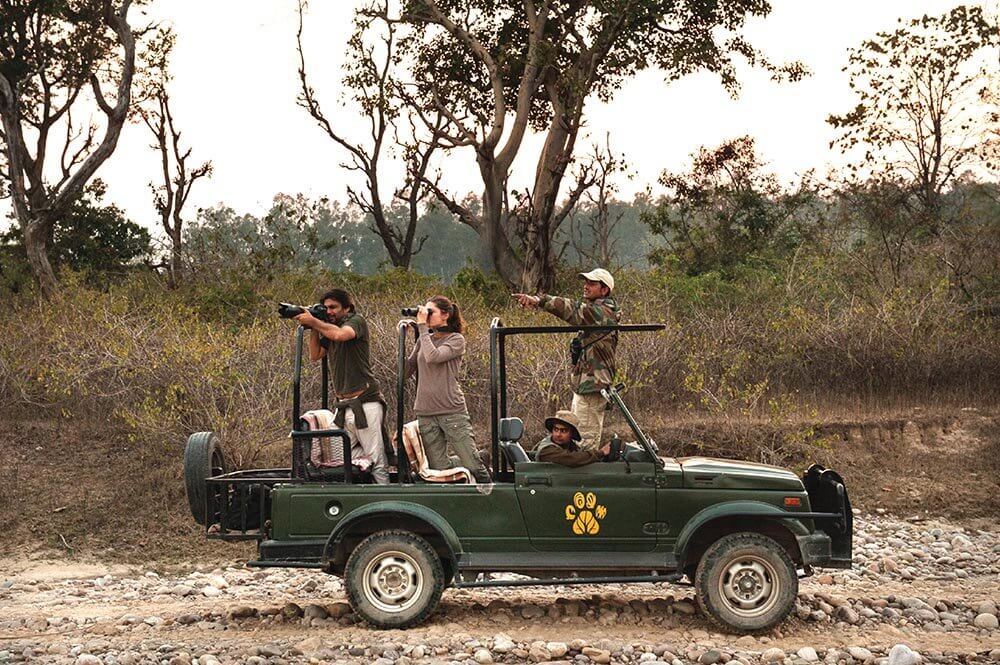 corbett jungle safari